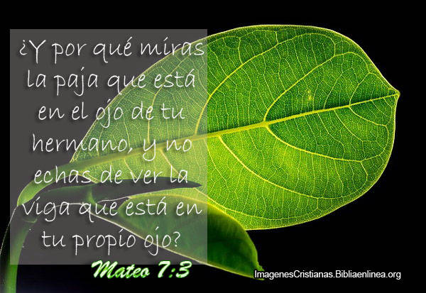 Mensajes Cristianos De Soportar A Los Dem s Con Vers culos