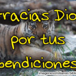 Imágenes Cristianas: Gracias Dios por tus bendiciones