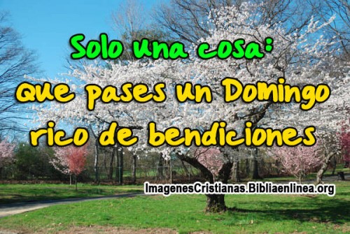 Solo una cosa: Que pases un Domingo rico de bendiciones