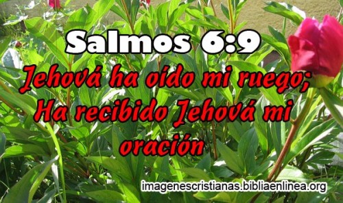 Imagenes Cristianas Nuevas (3)