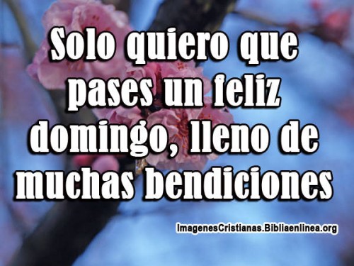 Solo quiero que pases un feliz domingo, lleno de muchas bendiciones