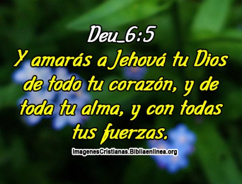 Imagenes Cristianas de amor a Jesus