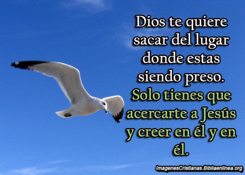 Imagenes Cristianas Mas Lindas (5)