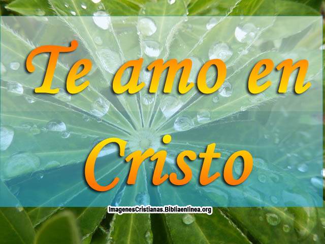 Te amo En Cristo