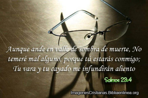 Salmos 23:4 Aunque ande en valle de sombra de muerte, No temeré mal ...