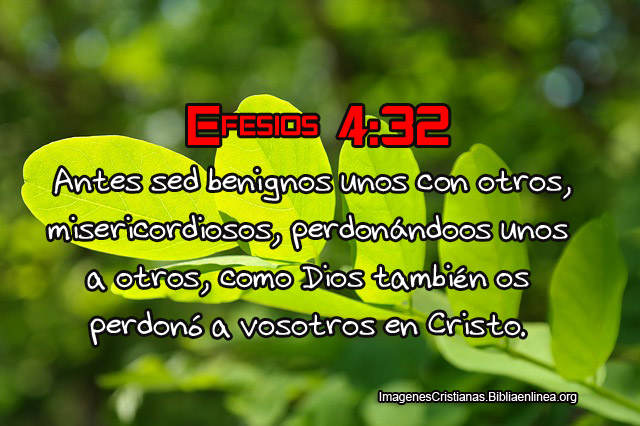 Frases acerca de Perdonar con Imagenes