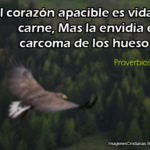 Imagen con Proverbios 14:30 (#proverbiodeldia)