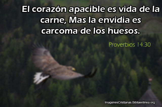 Proverbios del Dia