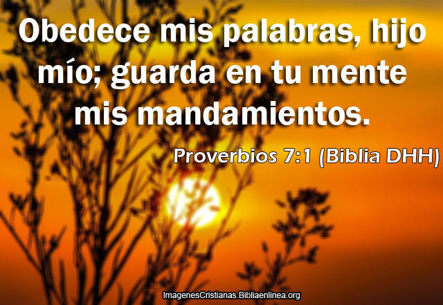 Proverbios del Dia Guardar los Mandamientos