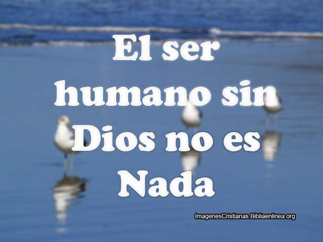 Reflexiones Cristianas