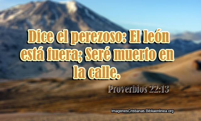 proverbios con Imagenes