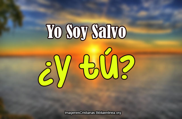 yo soy salvo