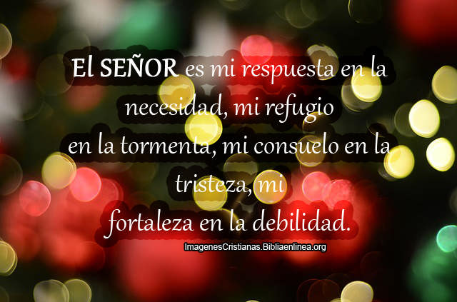 El SEÑOR es mi respuesta en la necesidad
