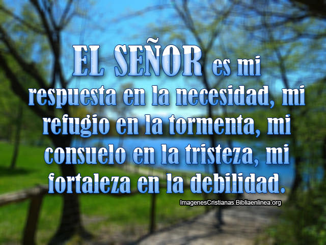 Frases Cristianas para etiquetar