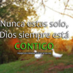 Nuncas estas Solo Frases Cristianas