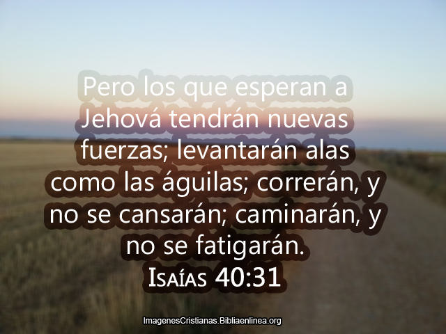 Pero los que esperan a Jehova