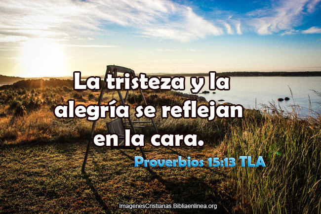 Proverbios Imagenes