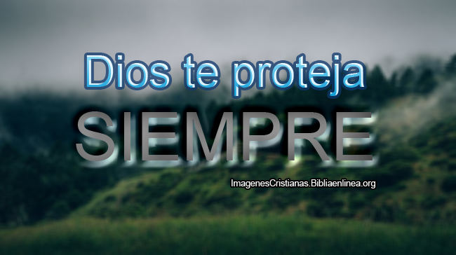 Frases Cristianas Dios te proteja