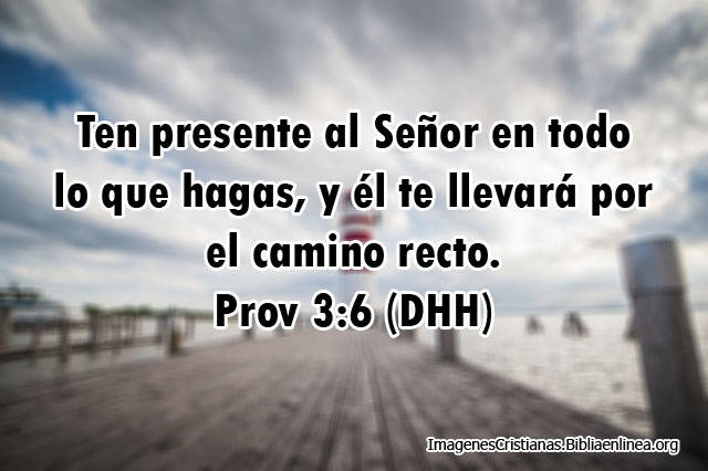 Proverbios en Imagen
