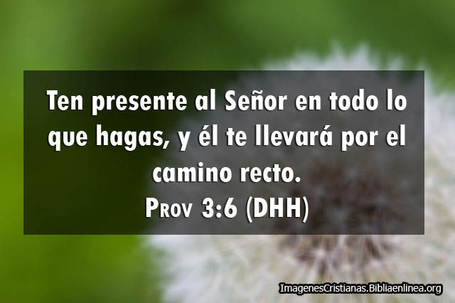 Proverbios ten presente a Dios en Imagenes
