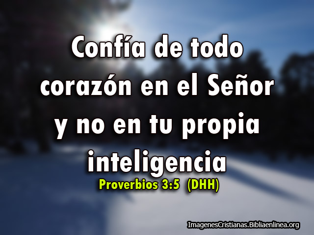 Descargar proverbios imagenes