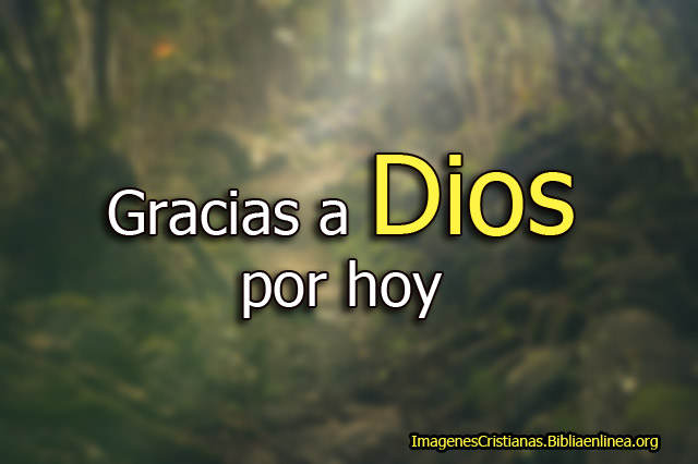 Imagenes para dar gracias por un nuevo dia