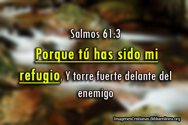 Salmos Bajar para FB