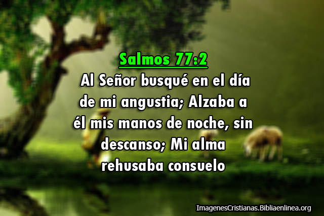 Imagenes Salmos buscar al Señor en el dia de la angustia