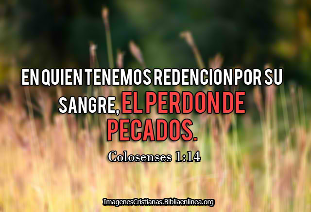 Perdon de los pecados Imagenes Cristianas