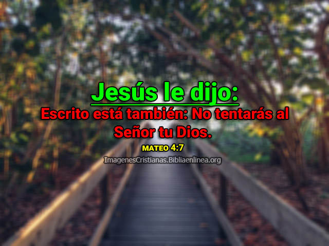 No tentaras al Señor tu Dios imagenes