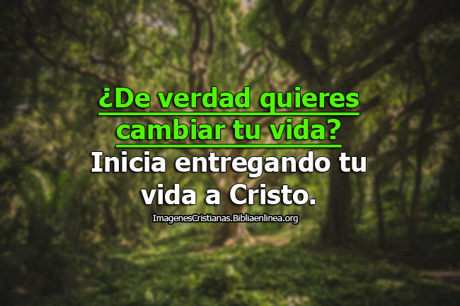 cambiar la vida entregarla a Cristo imagen