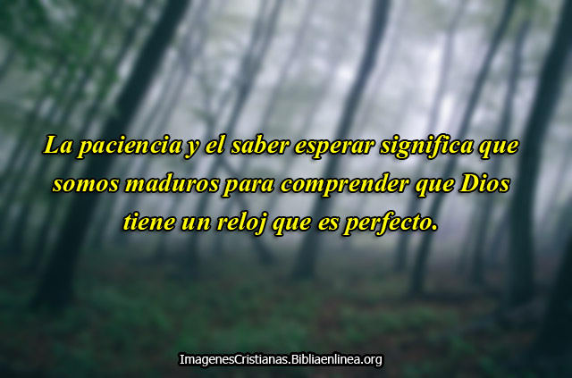 imagenes cristianas saber esperar