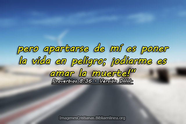 proverbios img