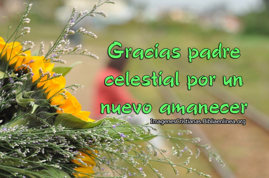 gracias por una nueva mañana imagen cristiana
