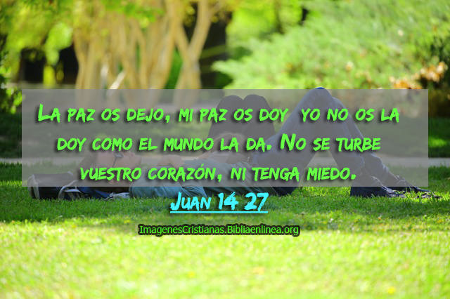 imagenes con reflexiones cristianas de buscar la paz imagenes con reflexiones cristianas de buscar la paz
