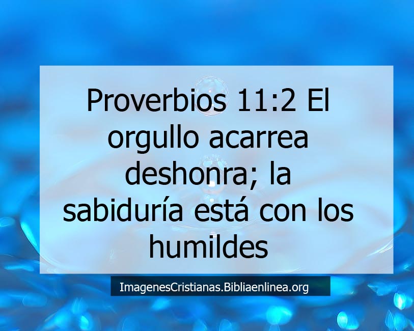 Proverbios acerca de los orgullosos