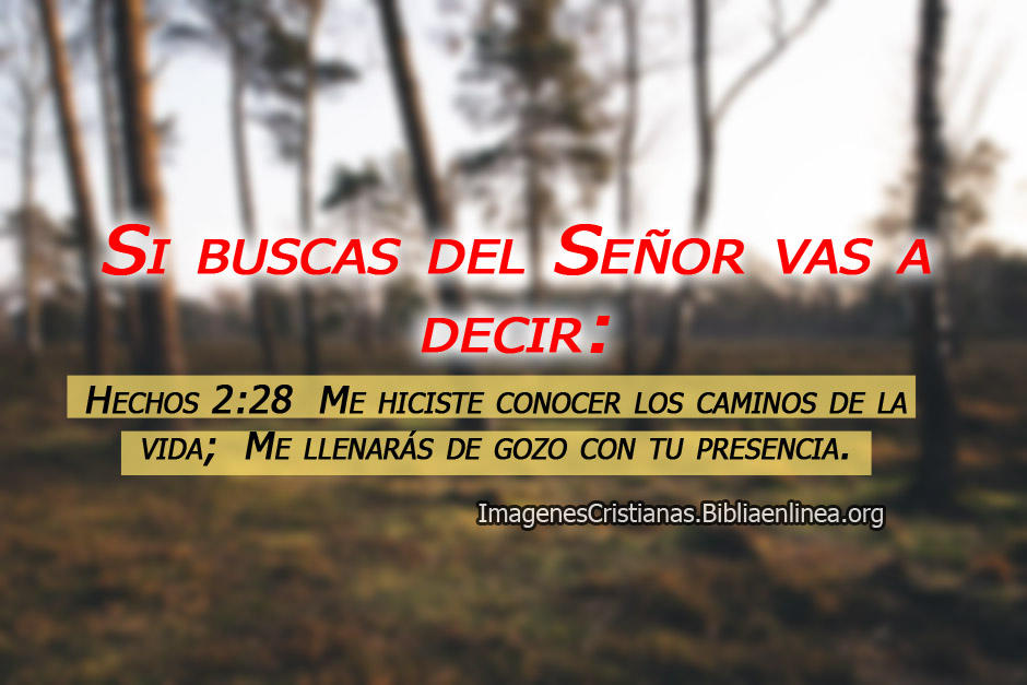Imagenes cristianas con pasajes para tristes y deprimidos