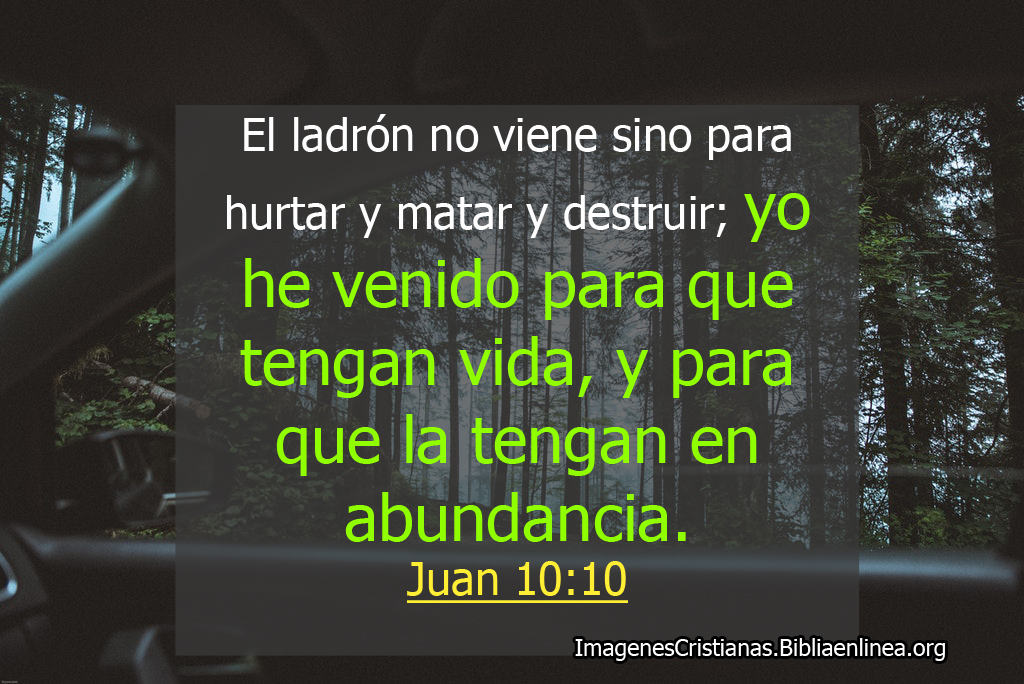 Pasaje biblico juan 10 10
