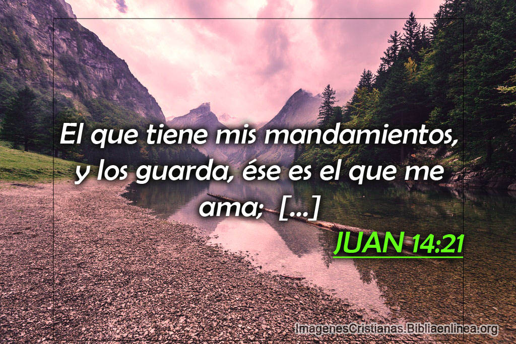 Imagenes amar a dios con pasaje