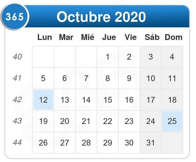 Calendario de noviembre 2020