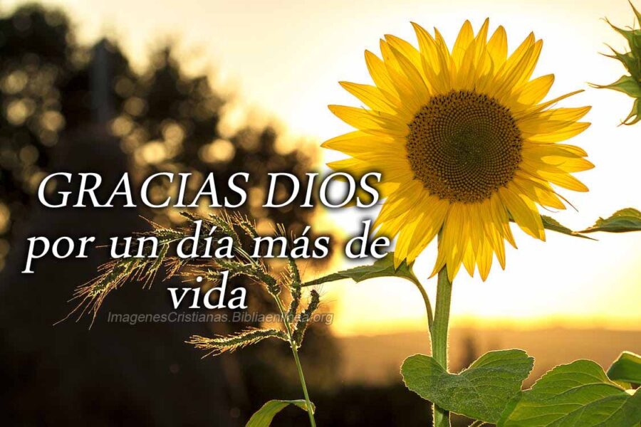 Gracias Dios por este nuevo amanecer: Imágenes y Reflexiones