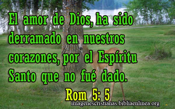 Imagen Cristiana Romanos 5-5
