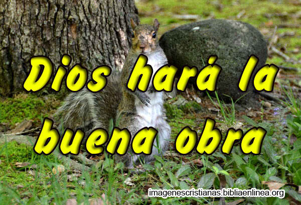 Imagenes Cristianas 2014 Dios hara la buena obra