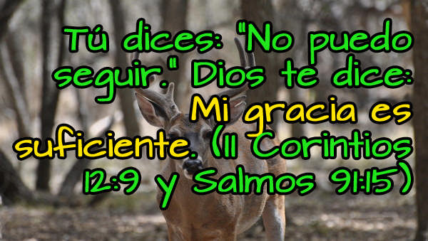 Imagenes Cristianas Diciembre