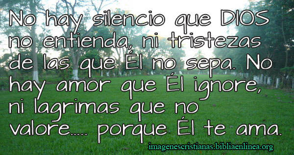 reflexion cristiana dios te ama